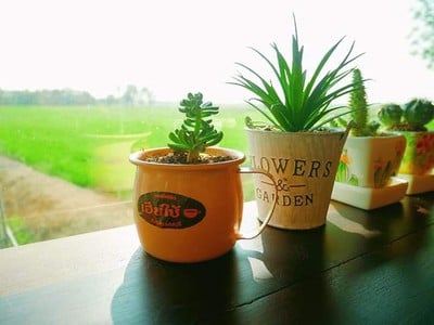 บรรยากาศ ศูนย์เรียนรู้วิถีชีวิตและจิตวิญญาณชาวนาไทย - นาเฮียใช้