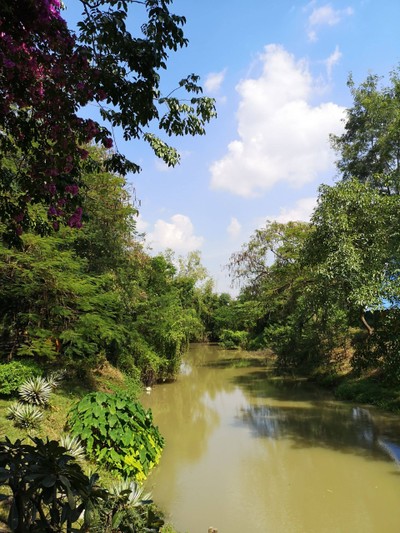 สวนสัตว์เปิด ซาฟารี ปาร์ค