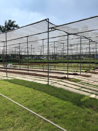 ทริปรอบสวนผึ้ง ราชบุรีใน 2 วัน 