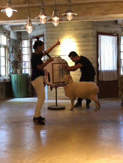 การแสดงน้องแกะ