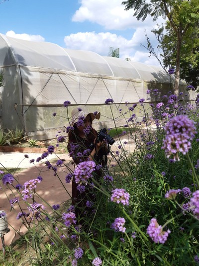 ดอกอะไรก็ไม่รู้ รู้แต่คัน