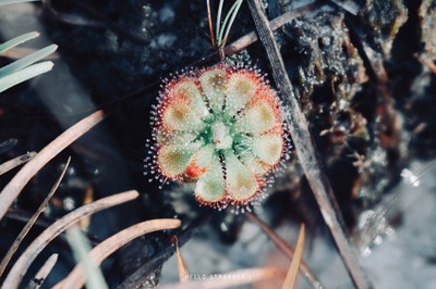 10 ความคาดหวังทางธรรมชาติของ "นักเดินป่า"