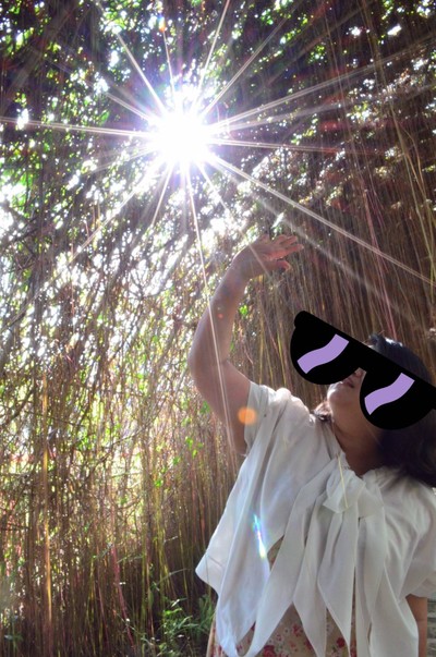 อุโมงค์ต้นไม้