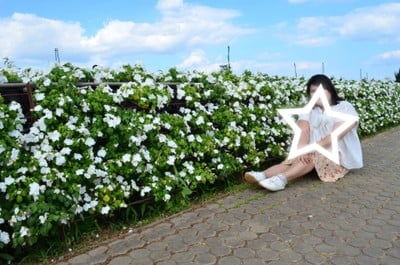 ดอกไม้สีขาว