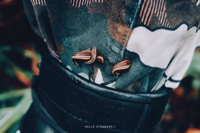 10 ความคาดหวังทางธรรมชาติของ "นักเดินป่า"