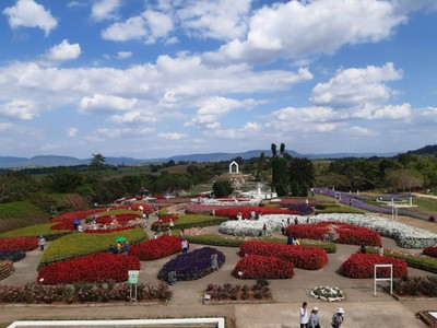 บรรยากาศภายในสวน ดอกไม้มีไม่กี่ชนิด แต่สวยย