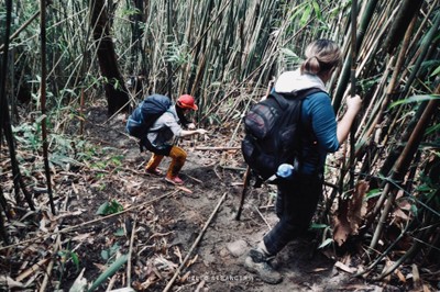 10 ความคาดหวังทางธรรมชาติของ "นักเดินป่า"