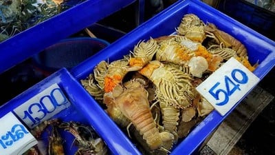 อื่นๆ