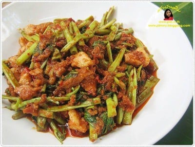 วิธีทำ ผัดเผ็ดผักบุ้ง วิธีทำ ผัดเผ็ดผักบุ้ง
