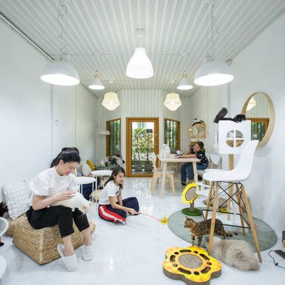 บรรยากาศ Year of The Cat Cafe