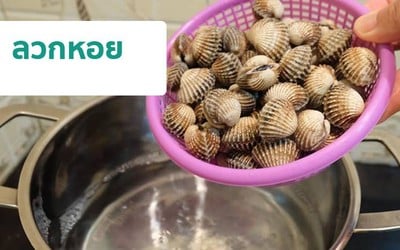 วิธีทำ ลวกหอยแครง 30 วินาที วิธีทำ ลวกหอยแครง 30 วินาที