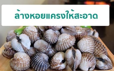 วิธีทำ ลวกหอยแครง 30 วินาที วิธีทำ ลวกหอยแครง 30 วินาที