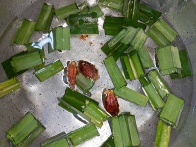 วิธีทำ น้ำเก๊กฮวยใบเตย วิธีทำ น้ำเก๊กฮวยใบเตย