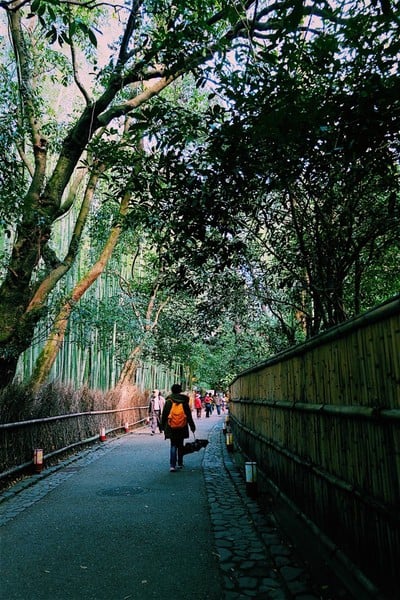Arashiyama Bamboo Grove