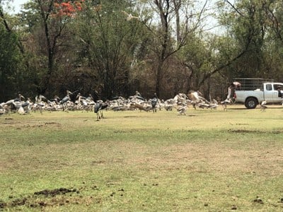 บรรยากาศ