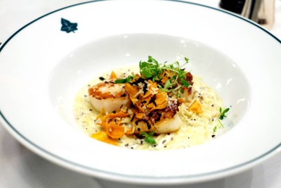 Sea Atlantic Scallop