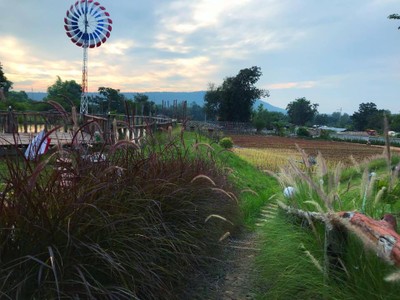 บรรยากาศ สวนเกษตร66