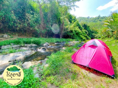 สัมผัสธารน้ำ 180 องศา มีลำธารตลอดเวลา