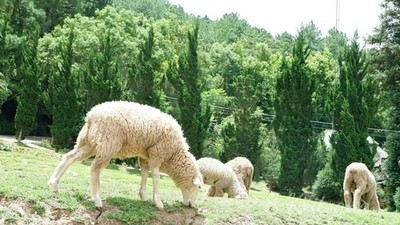 บรรยากาศ