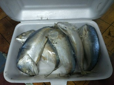 2 วัน 1 คืน เที่ยวสมุทรสาคร แบบชิวเว้ออออ...!!!