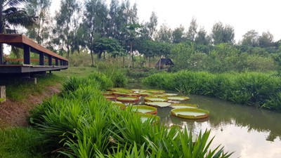 บรรยากาศ