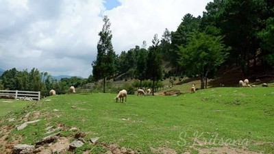 บรรยากาศ