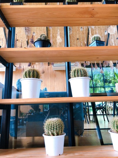 หนาวแรกปีนี้เริ่มที่กาญจนบุรีทริป 