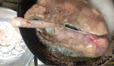 วิธีทำ ต้มผักกาดดองใส่ปอดหมู วิธีทำ ต้มผักกาดดองใส่ปอดหมู