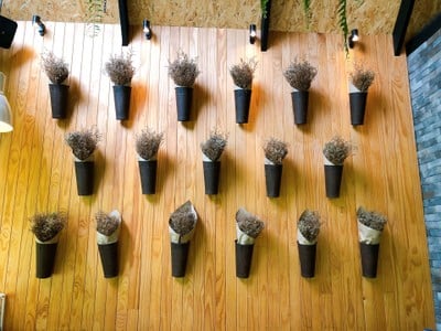 ผนังสวย