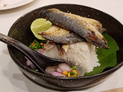 ข้าวแมว