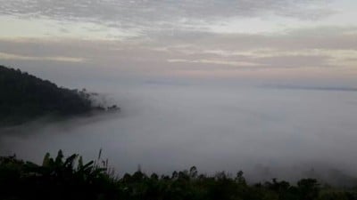 บรรยากาศ ทีโอที เขาค้อ