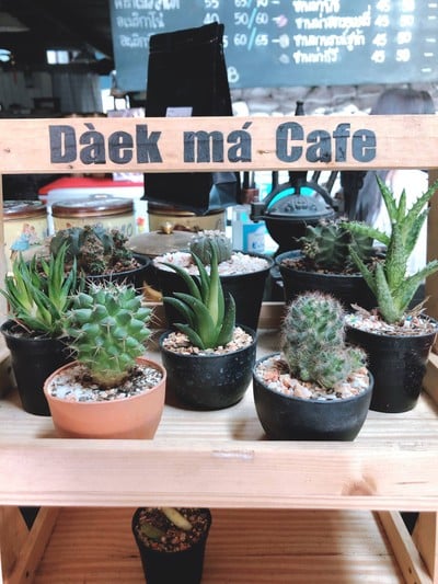 หนาวแรกปีนี้เริ่มที่กาญจนบุรีทริป 