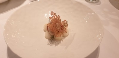 Apple compote, cinnamon leaf and fresh dill