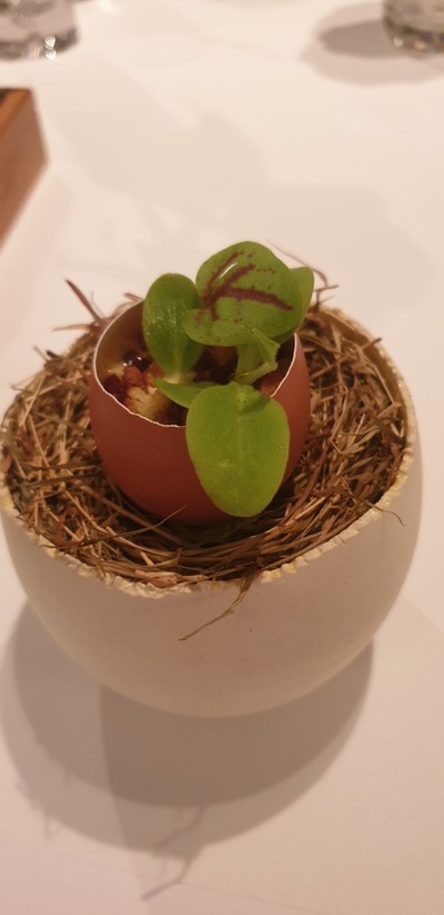 Amuse Bouche