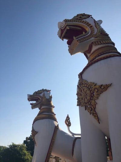 หนาวแรกปีนี้เริ่มที่กาญจนบุรีทริป 