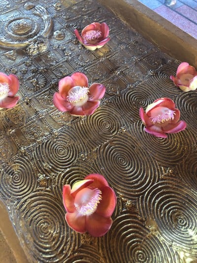 หนาวแรกปีนี้เริ่มที่กาญจนบุรีทริป 