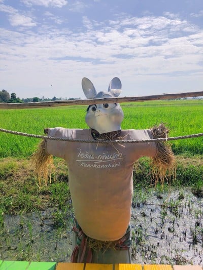 หนาวแรกปีนี้เริ่มที่กาญจนบุรีทริป 