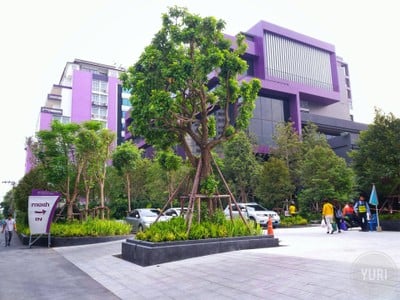 บริเวณโดยรอบ