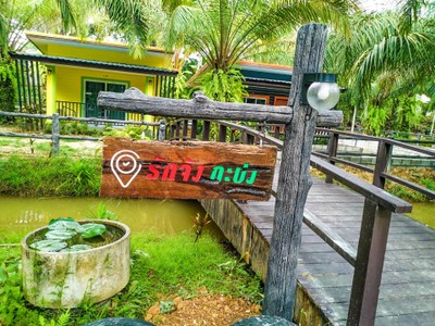 สะพานไม้