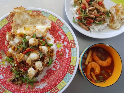 กะเพราปู