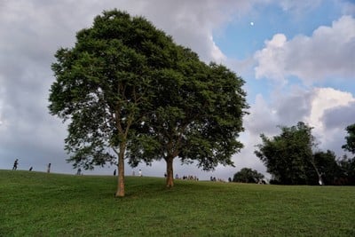 ดอยเสมอดาว - น่าน - กลางคืนดูดาว เช้าดูหมอก