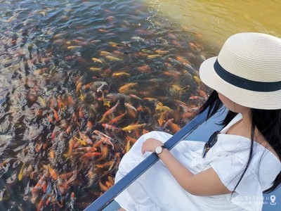 ทริปสุดฟิน​ In​ Chanthaburi 