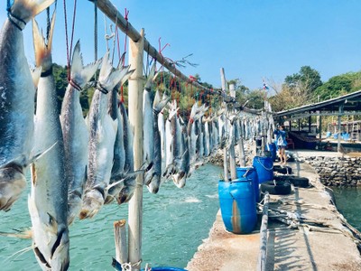 ทริปสุดฟิน​ In​ Chanthaburi 