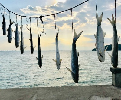 ทริปสุดฟิน​ In​ Chanthaburi 