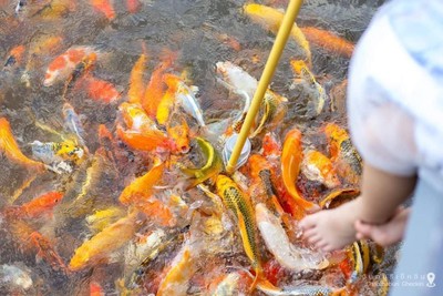 ทริปสุดฟิน​ In​ Chanthaburi 