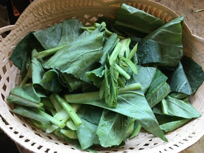 วิธีทำ คะน้าหมูน้ำมันหอย