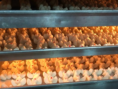 วิธีทำ ขนมกลีบลำดวน วิธีทำ ขนมกลีบลำดวน