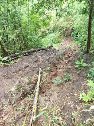 กิน+วิ่ง+เที่ยว (จังหวัดตาก) - ไปตากผ้ากัน