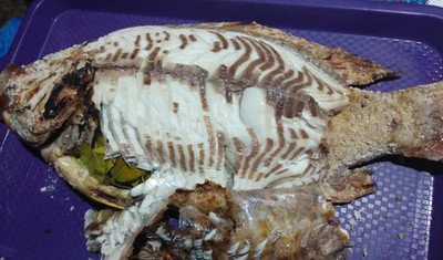 ปลาทับทิมเผา