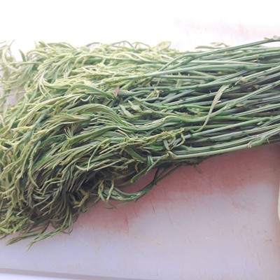 วิธีทำ ชะอมทอด